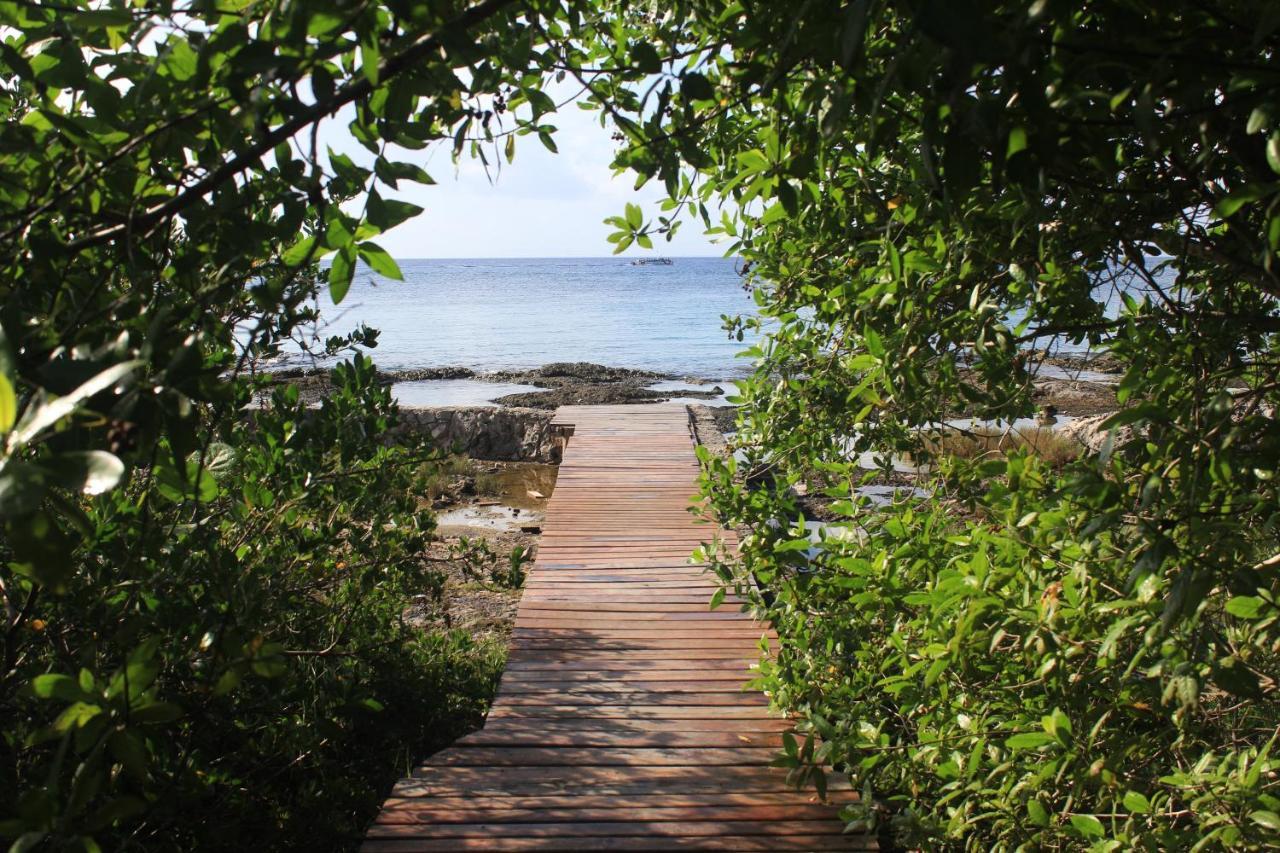 Confortable Casa En Cozumel, Condominio Con Vista Al Mar # 28 Exteriör bild